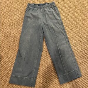 J. Crew Blue Wide Leg Pamts